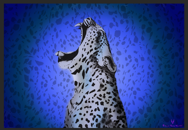 SCARF-SARONG LEOPARD YAWN: COBALT BLUE